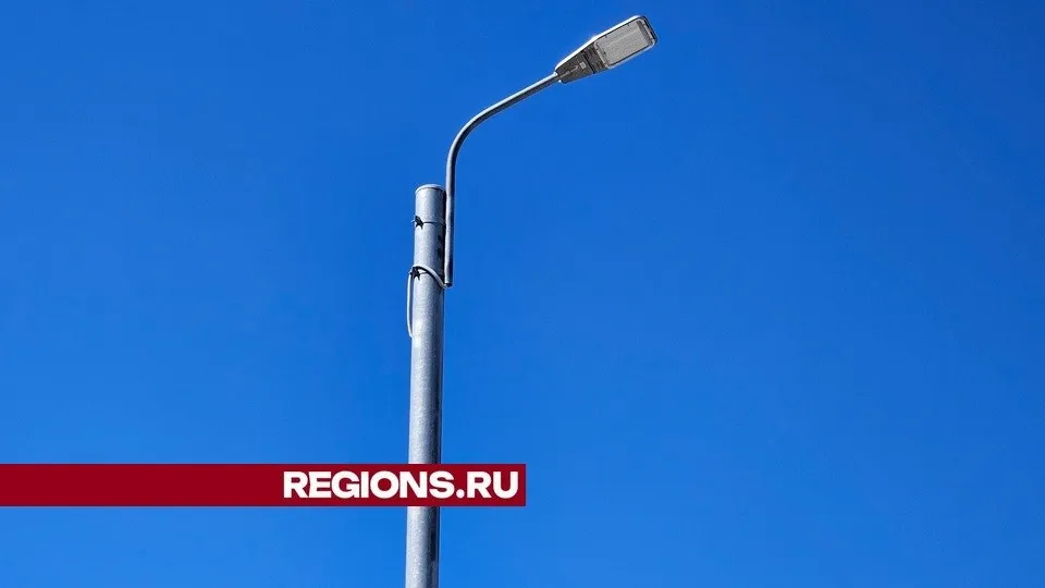Фото: Александр Дрожжин