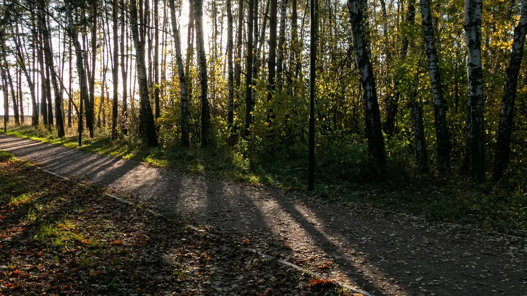 Фото: Евгений Мазепов