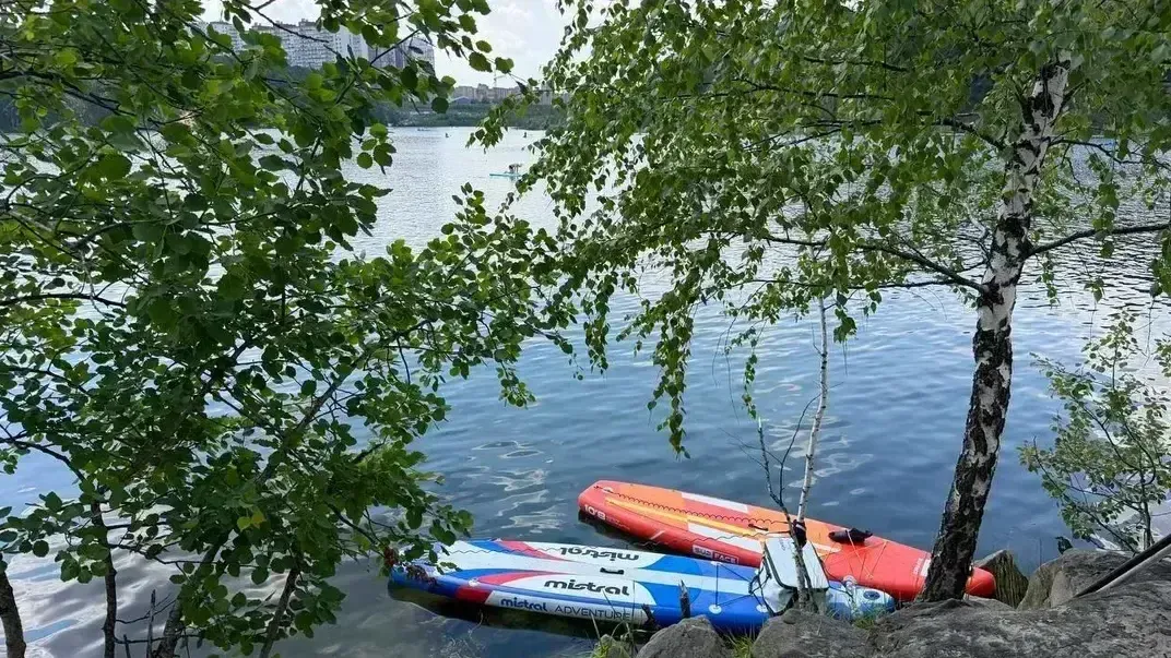 Картинка
