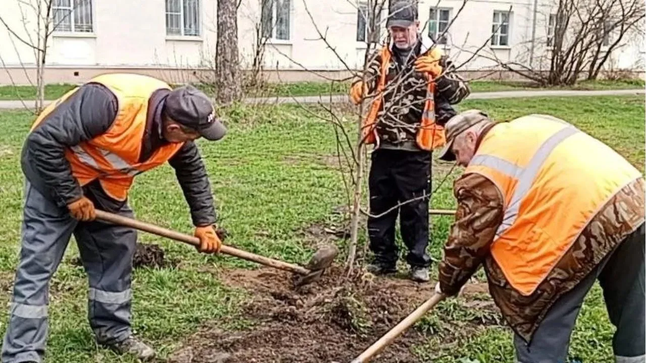 Картинка