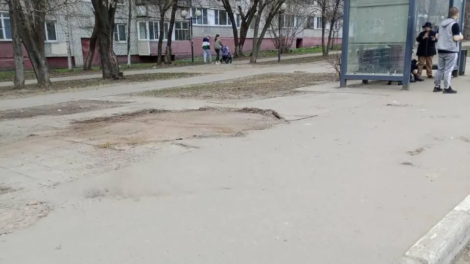 Фото: Министерство сельского хозяйства и продовольствия Московской области