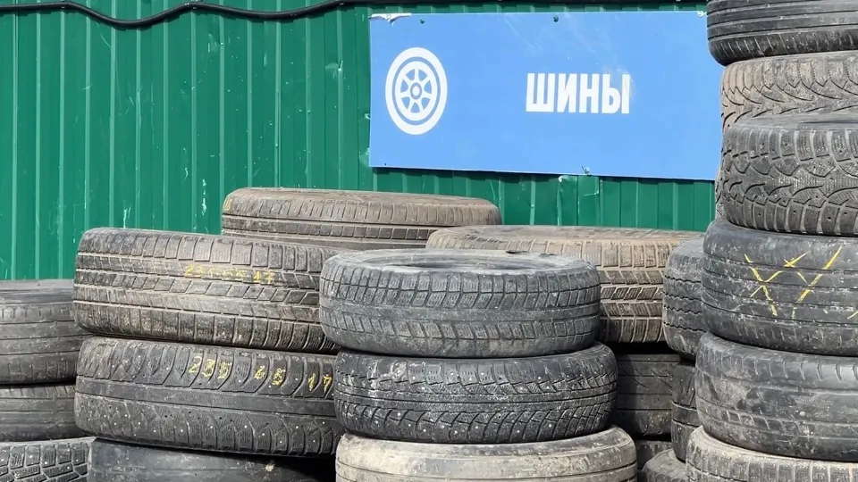 Фото: МедиаБанк Подмосковья/Ерофеева Валерия