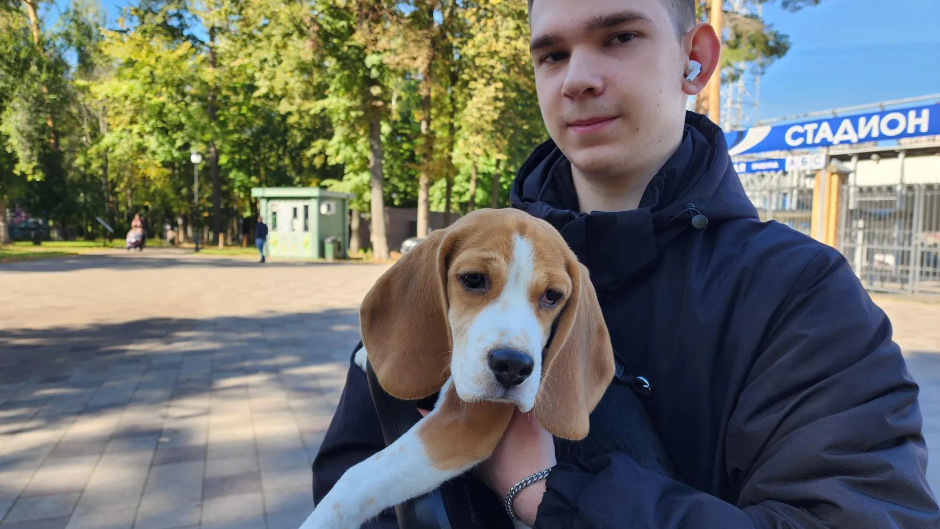 Картинка