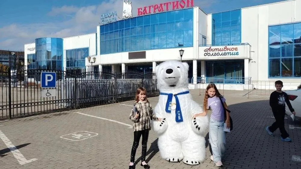 Картинка