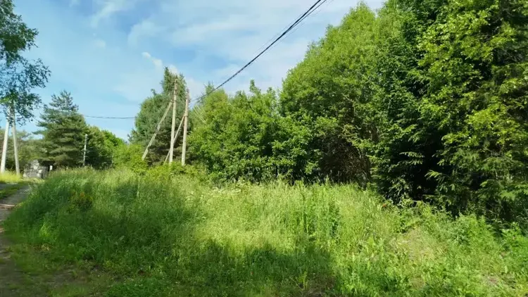 Участок на торгах