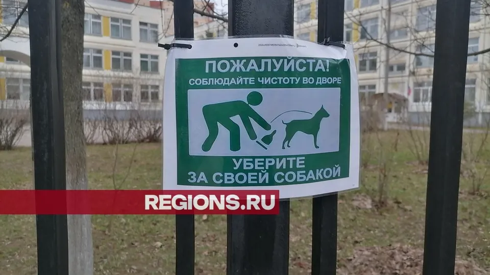 Фото: Александра Никитина