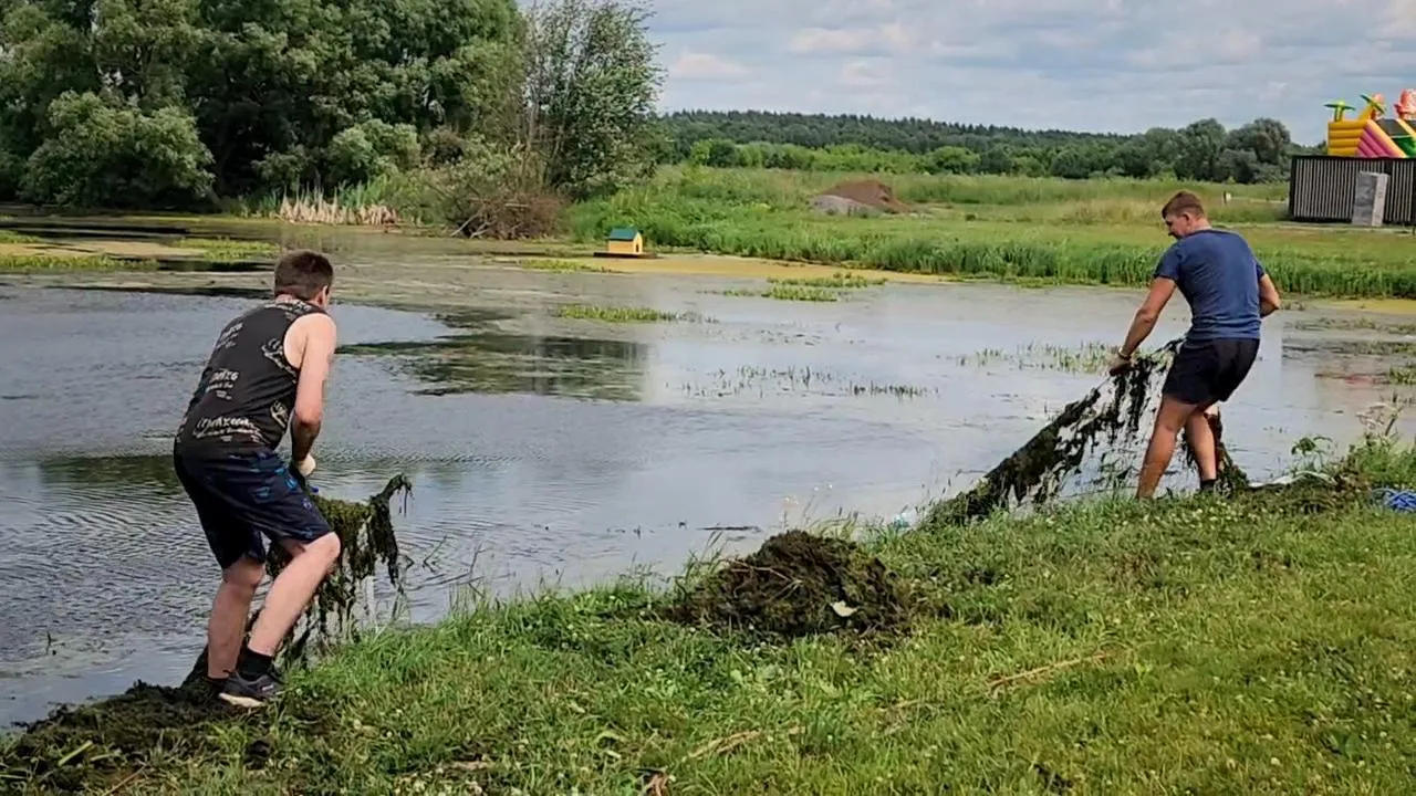 Картинка