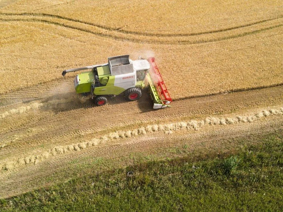 Аномальная жара атаковала Европу: ждет ли мировой рынок взлет цен на продукты