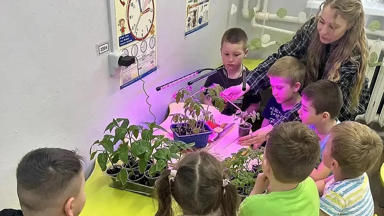 Картинка