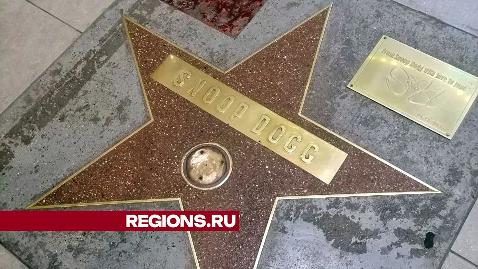 Фото: REGIONS/Александра Никитина