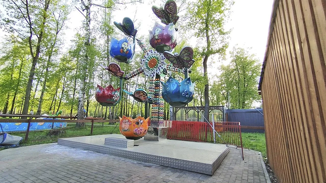 Картинка