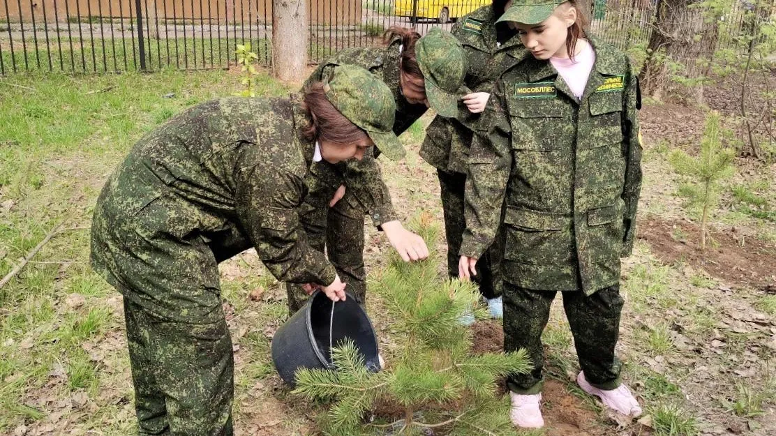 Комитет лесного хозяйства Московской области