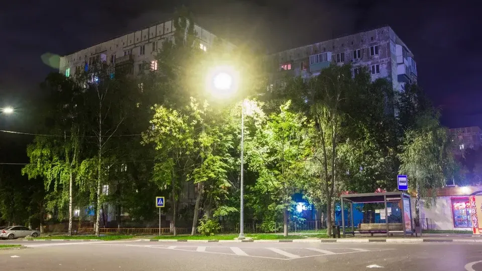 Фото: Министерство благоустройства Московской области&nbsp;