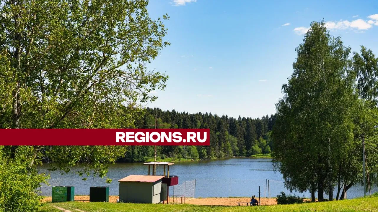 Фото: REGIONS/Дмитрий Зайчиков