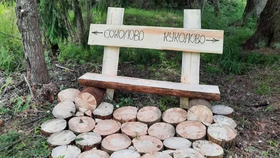 Фото: ГКУ МО «Мособллес»