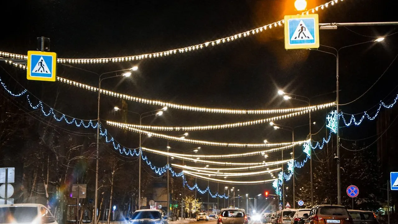 Фото: пресс-служба администрации Шатурского округа