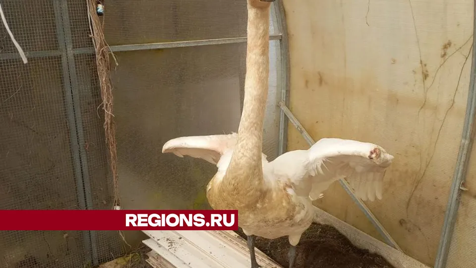 Фото: Ольга Пятикрестовская