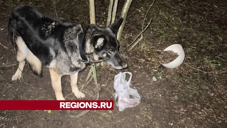 Фото: личный архив Вероники Кравцовой
