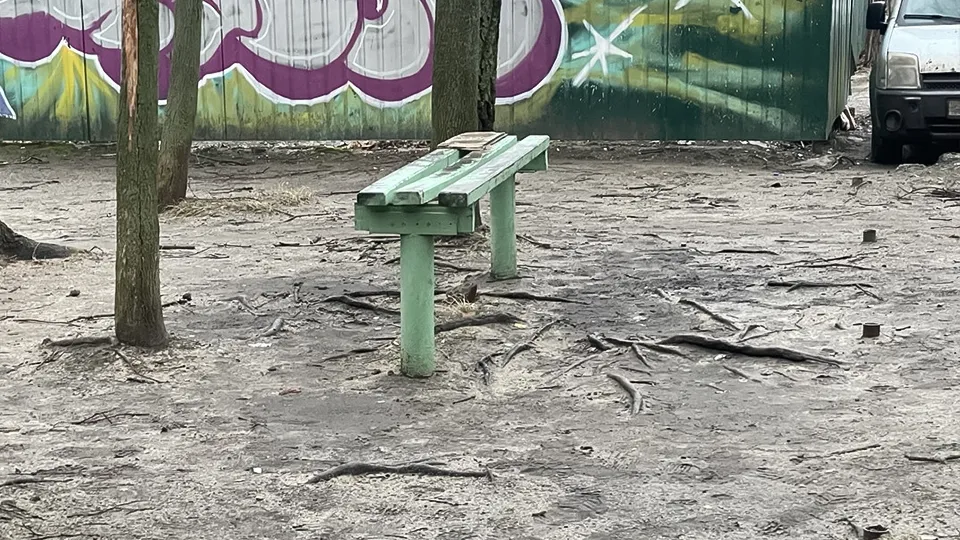 Фото: МедиаБанк Подмосковья/Елена Лепешкина
