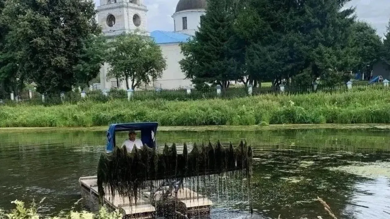 Картинка
