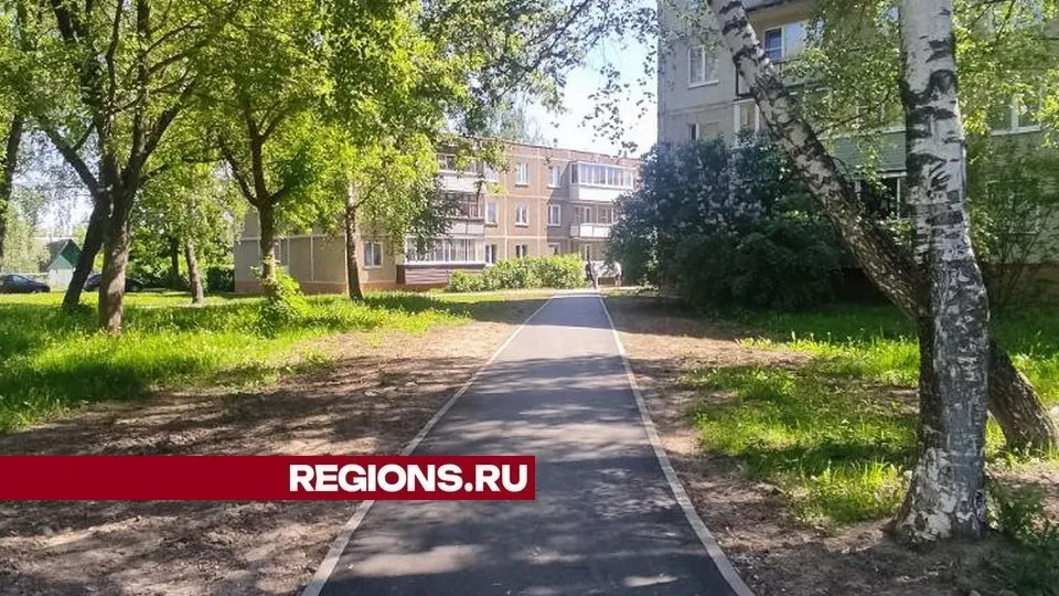 Фото: пресс-служба администрации городского округа Луховицы