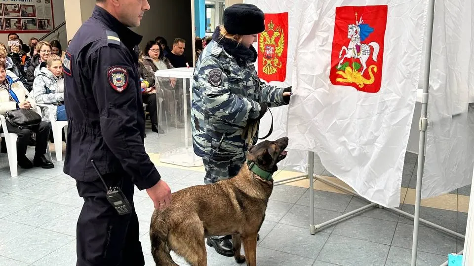 Фото: ОМВД России по Можайскому городскому округу&nbsp;
