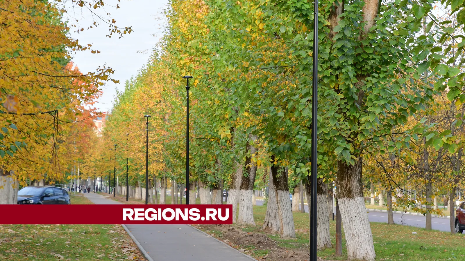 Фото: REGIONS/Наталья Бычкова