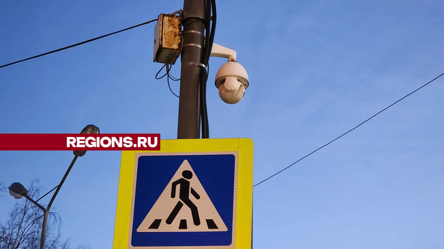 Фото: REGIONS/Ольга Фельдфебелева