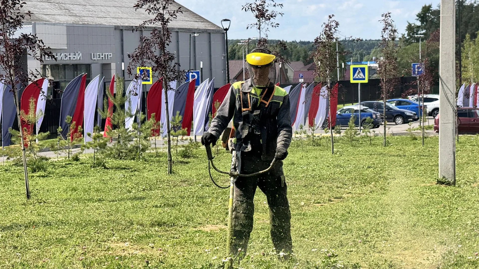 Картинка
