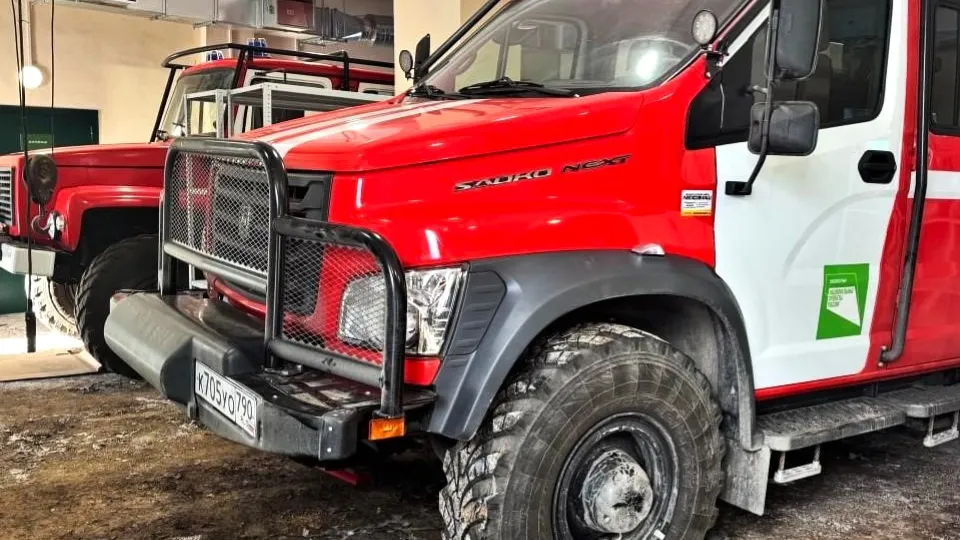 Фото: Комитет лесного хозяйства Московской области