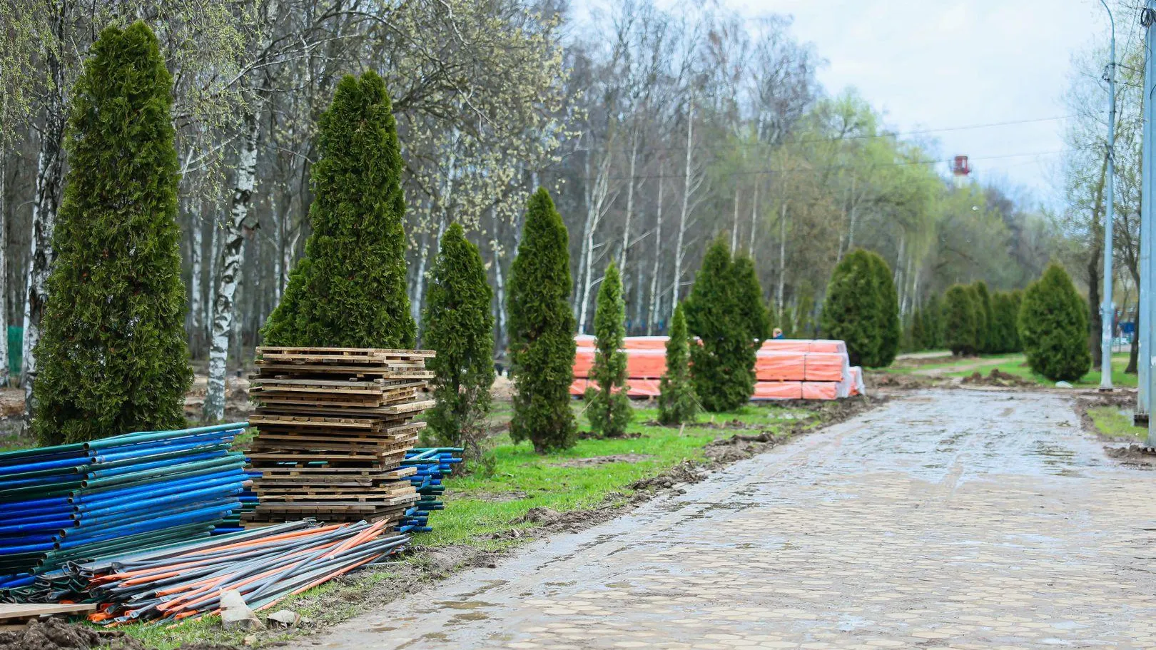 Фото: Медиаархив Московской области