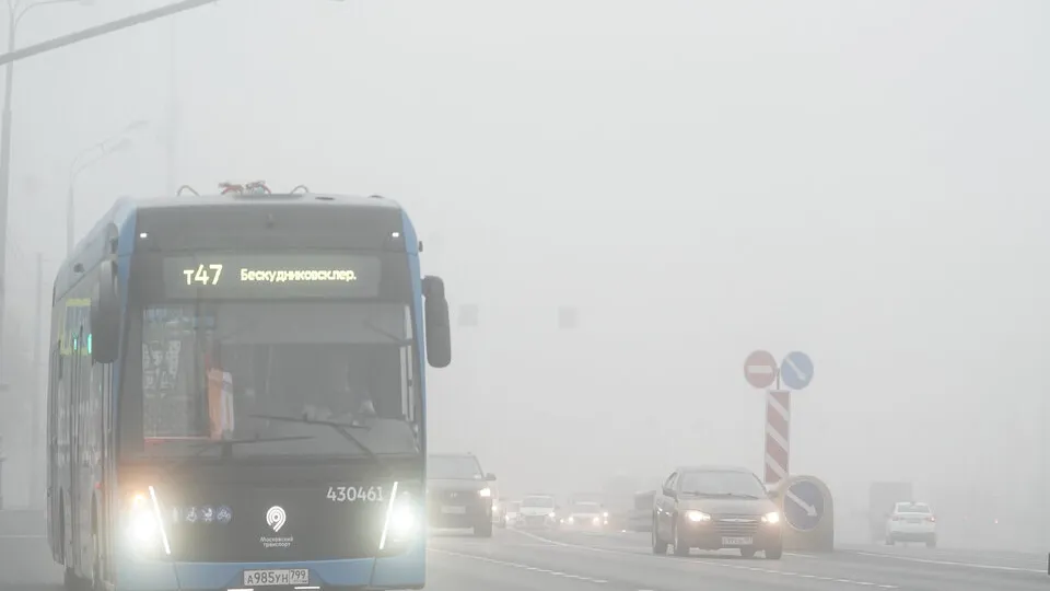 Фото: медиасток.рф