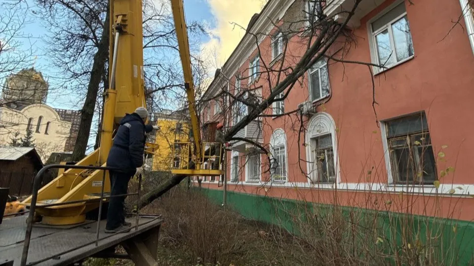 Фото: администрация городского округа Люберцы