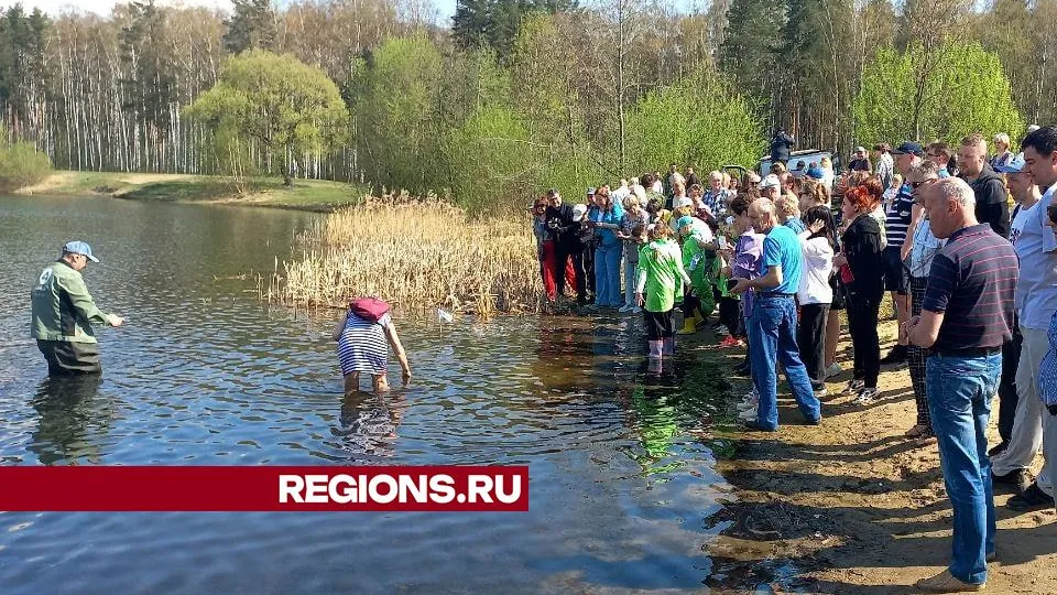 Фото: REGIONS/Олег Книжник