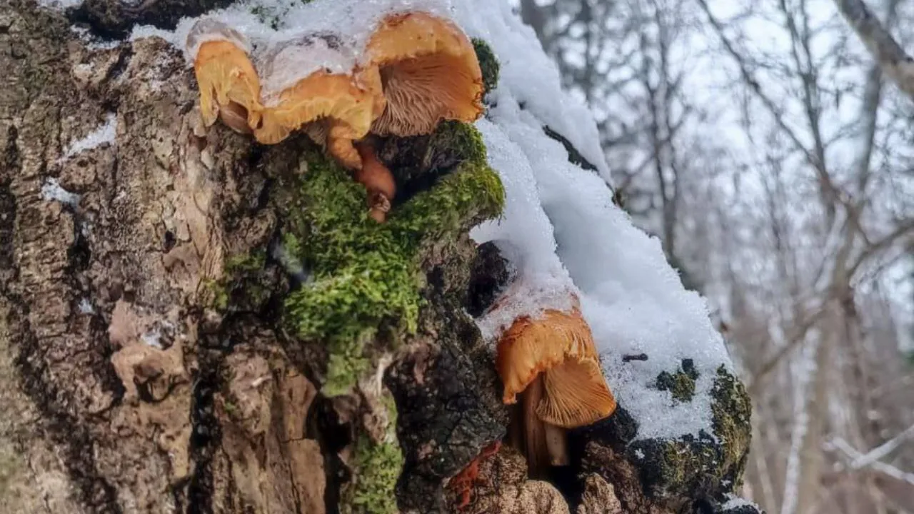 Фото: предоставлено Алексеем Андреевым