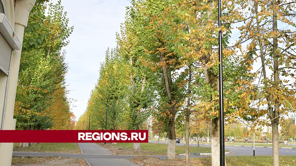 Фото: REGIONS/Наталья Бычкова