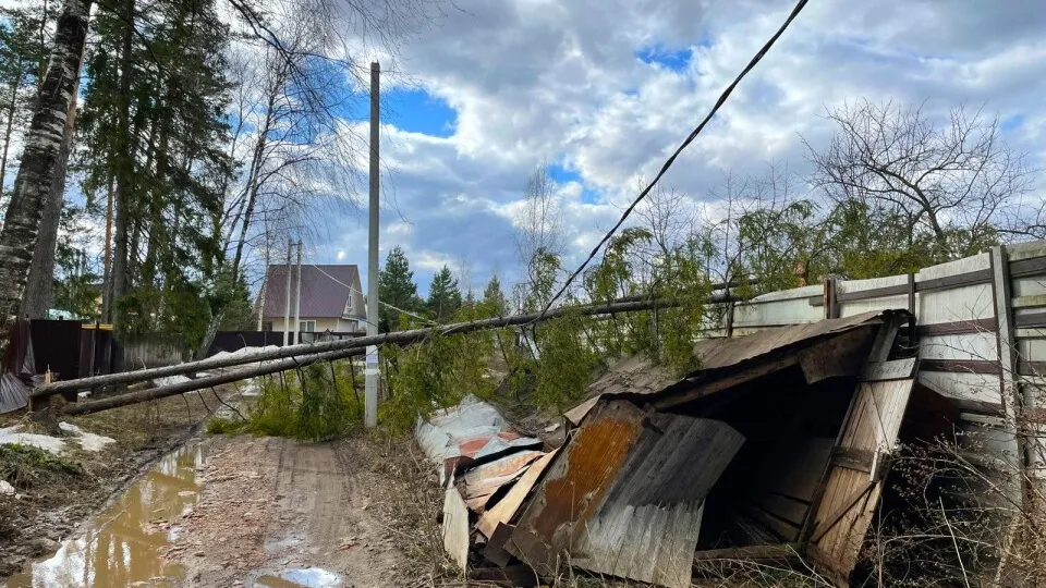 Фото: ГКУ МО «Мособлпожспас»&nbsp;