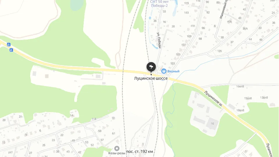 Фото: Администрация Одинцовского городского округа