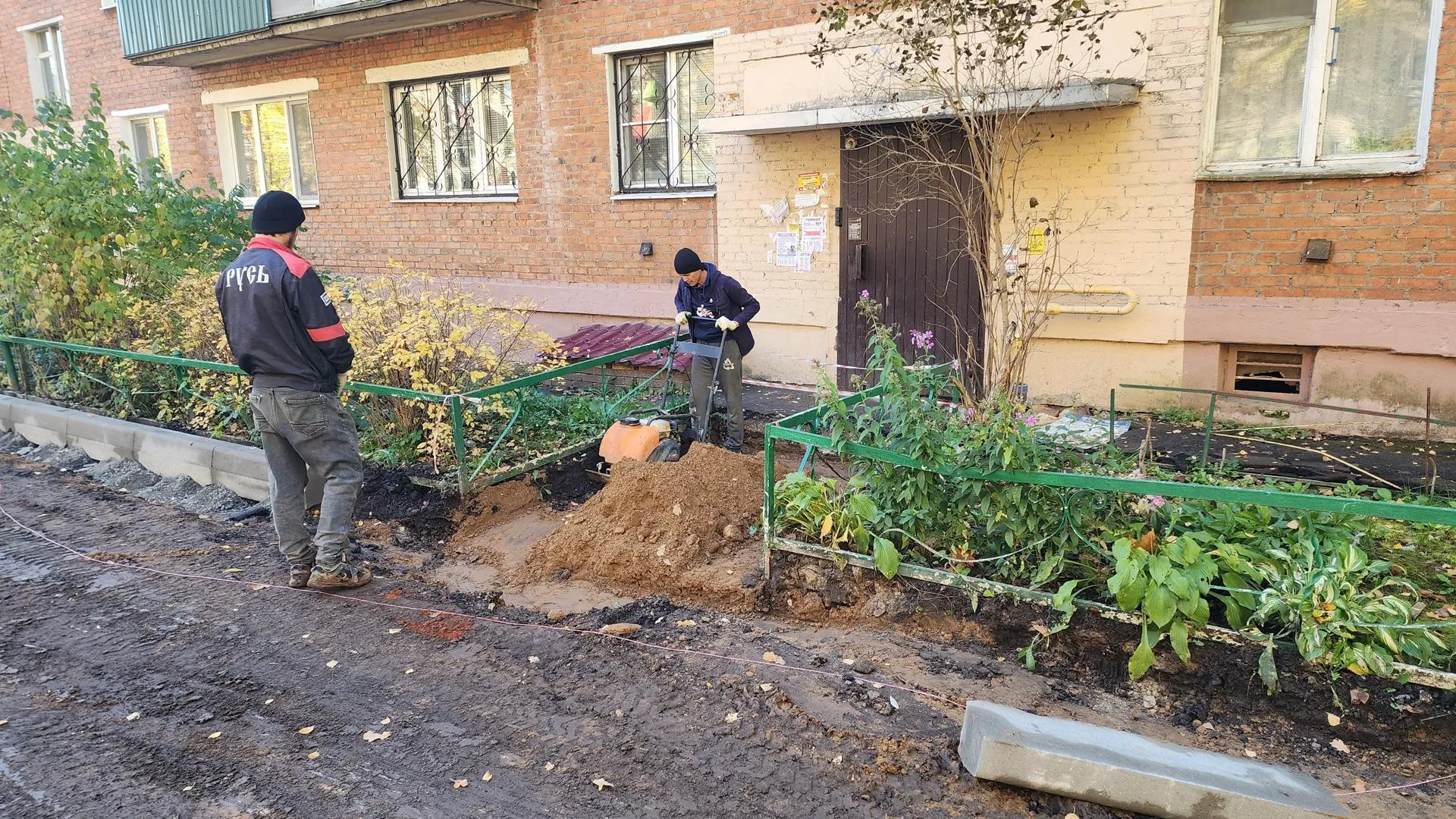 Картинка