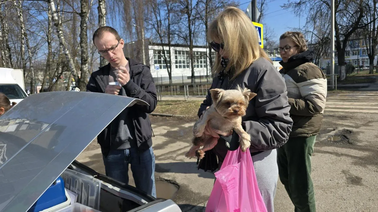 Картинка