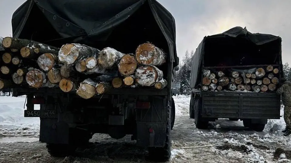 Фото: пресс-служба администрации г.о. Электросталь