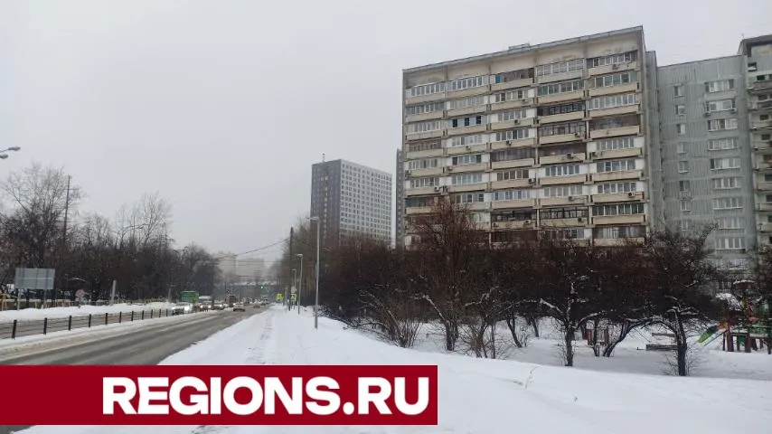 Фото: Кирилл Софьинский