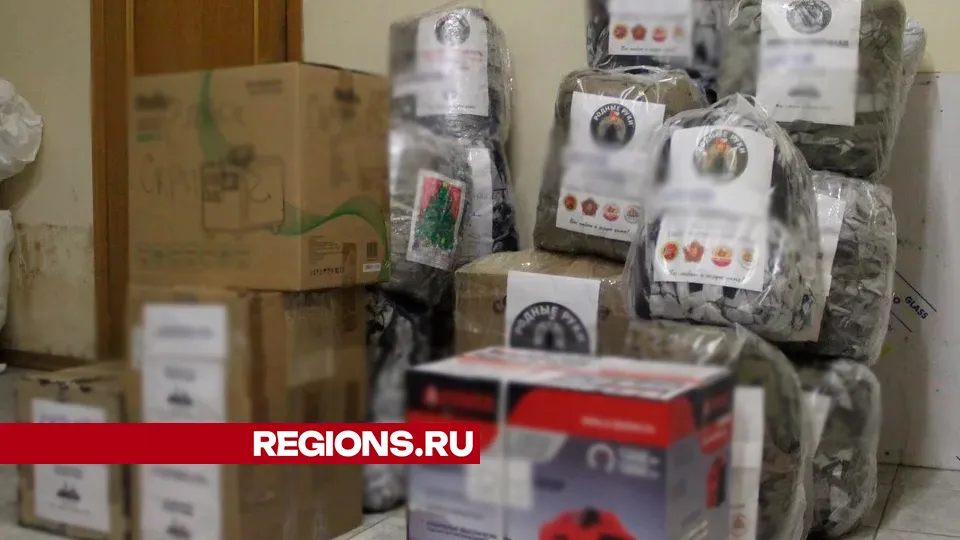 Фото: REGIONS/Василий Тремасов