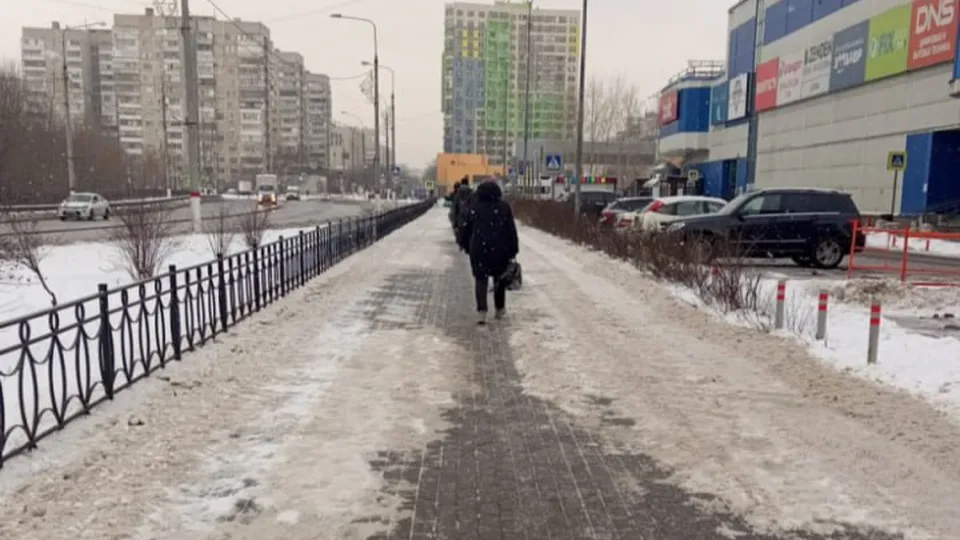 Фото: МЦУР Жуковский