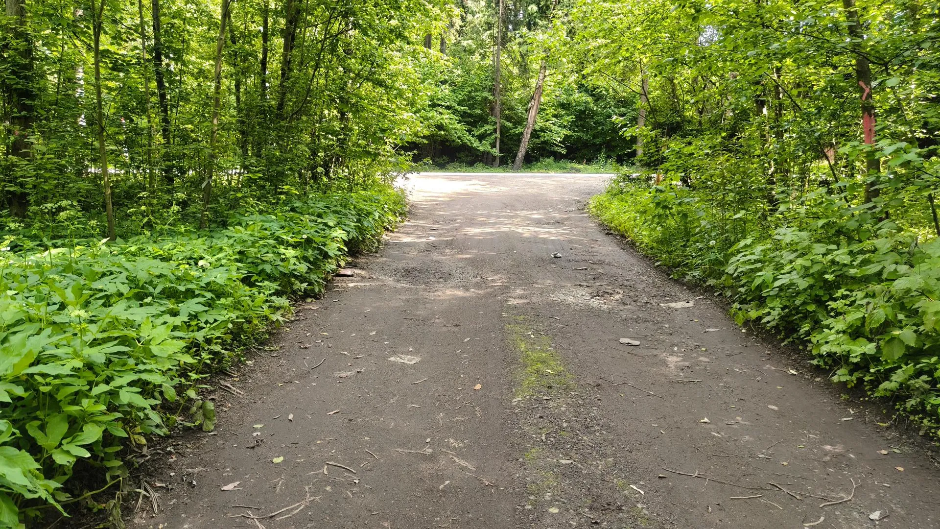 Дорога, СНТ Улитино