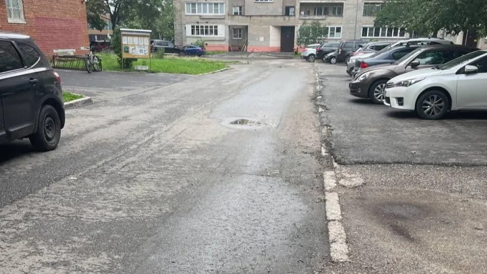 Фото: пресс-служба администрации г. о. Черноголовка