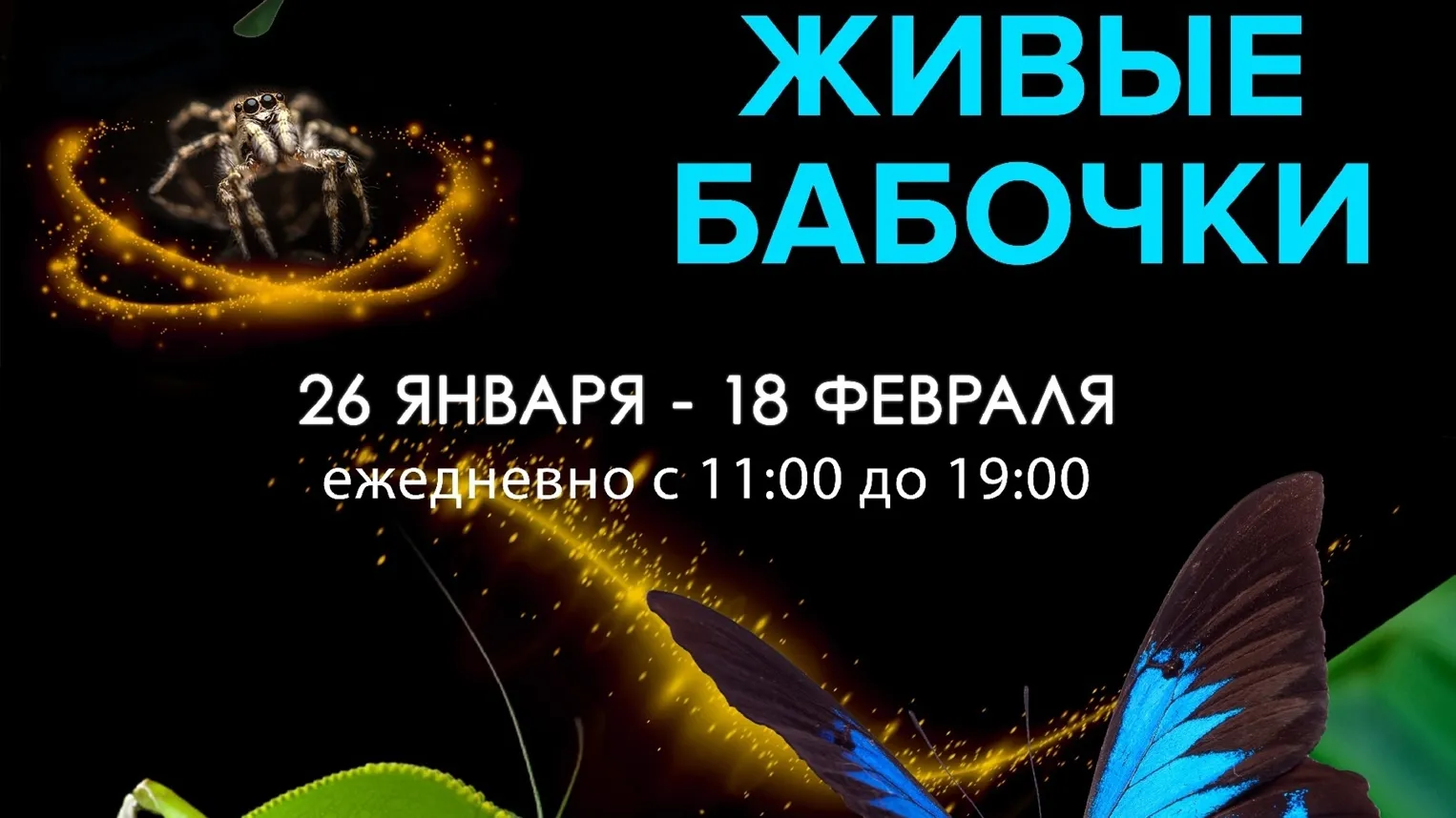 Фото: филиал «На Большевистской» Центрального Дворца культуры «Созвездие»/ВКонтакте.