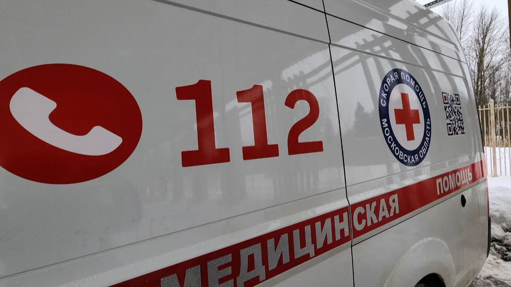 Фото: Валентина Максимова / МедиаБанк Подмосковья