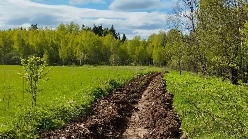 Фото: Комитет лесного хозяйства Московской области