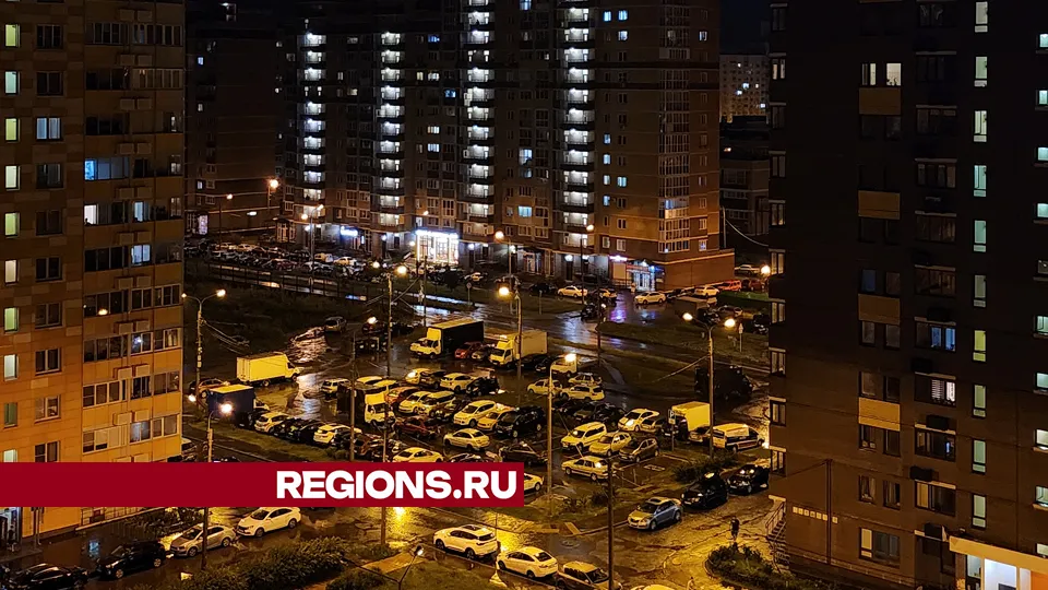Фото: Валерия Тингаева